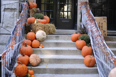 Thanksgiving theme of Holidays